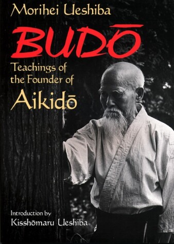 Book cover for Budo