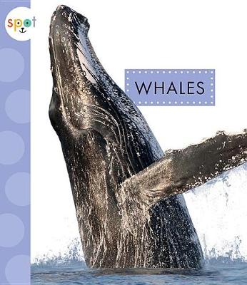 Book cover for Whales