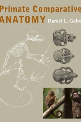 Cover of Primate Comparative Anatomy