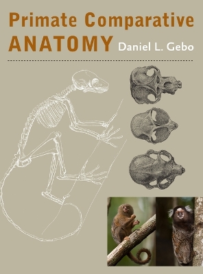 Book cover for Primate Comparative Anatomy