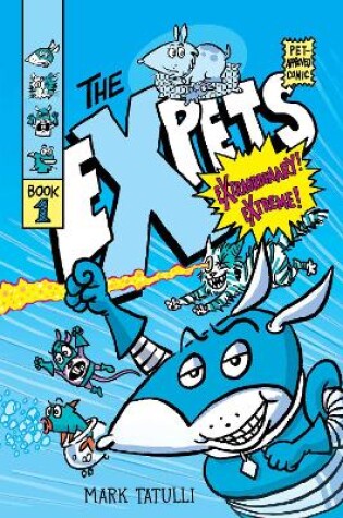 Cover of The eXpets