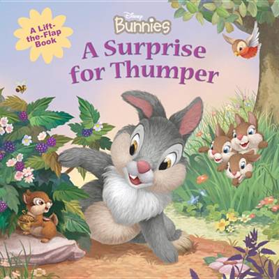 Book cover for Disney Bunnies a Surprise for Thumper
