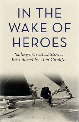 Book cover for In the Wake of Heroes