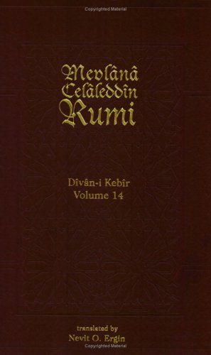 Book cover for Divan-I Kebir, Meter 14