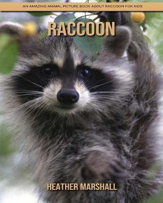 Book cover for Raccoon