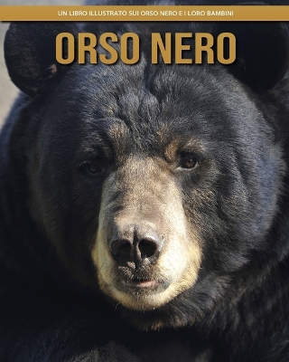 Book cover for Orso nero