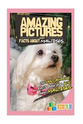 Book cover for Amazing Pictures and Facts about Maltese