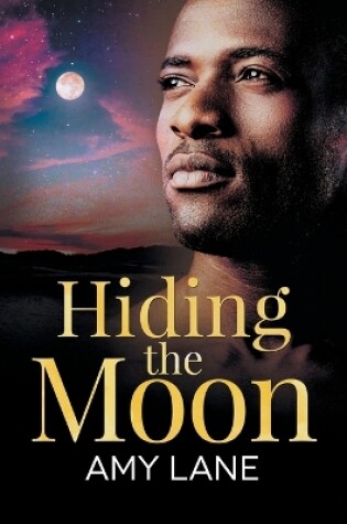 Cover of Hiding the Moon