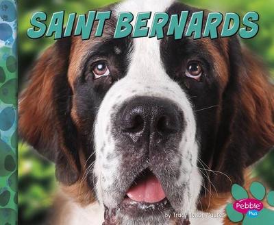 Book cover for Saint Bernards