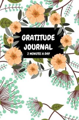 Book cover for Gratitude Journal