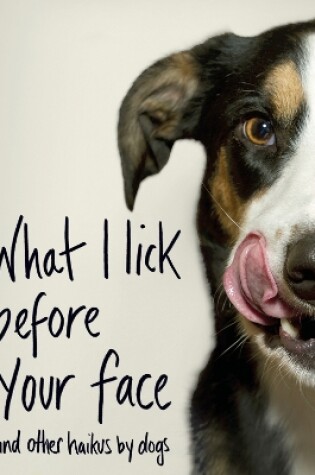 Cover of What I Lick Before Your Face ... and Other Haikus By Dogs