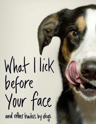 Book cover for What I Lick Before Your Face ... and Other Haikus By Dogs