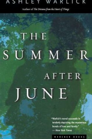 Cover of The Summer After June