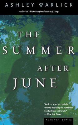 Book cover for The Summer After June