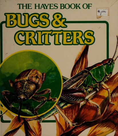 Cover of Bugs and Critters