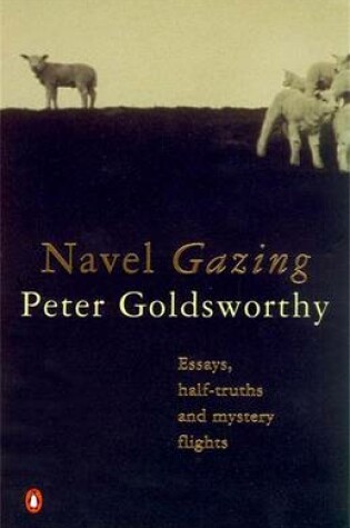 Cover of Navel Gazing