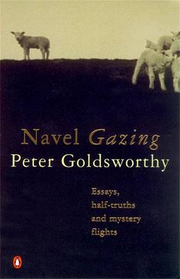 Book cover for Navel Gazing
