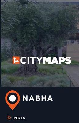 Book cover for City Maps Nabha India