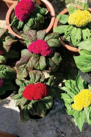 Cover of Cockscomb Celosia in Pots, for the Love of Flowers