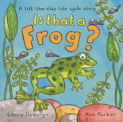 Book cover for Is That A Frog?Lift-The-Flap Story