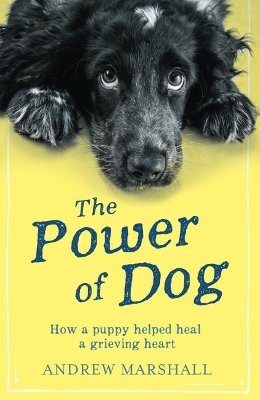 Book cover for The The Power of Dog