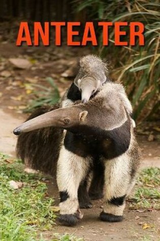 Cover of Anteater