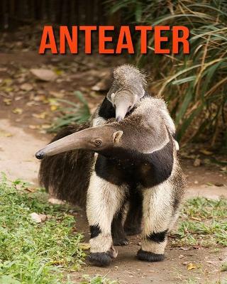 Book cover for Anteater