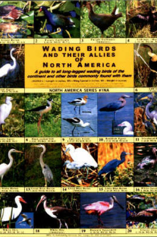 Cover of Wading Birds and Their Allies of North America