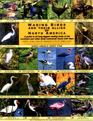 Cover of Wading Birds and Their Allies of North America