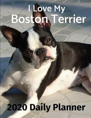 Cover of I Love My Boston Terrier