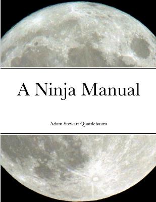 Book cover for A Ninja Manual