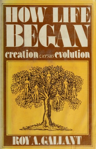 Book cover for How Life Began