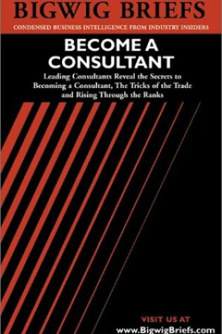 Cover of Become a Consultant