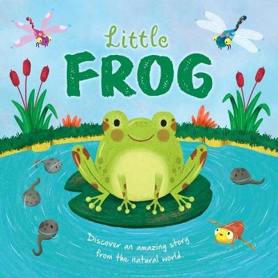 Book cover for Nature Stories: Little Frog-Discover an Amazing Story from the Natural World