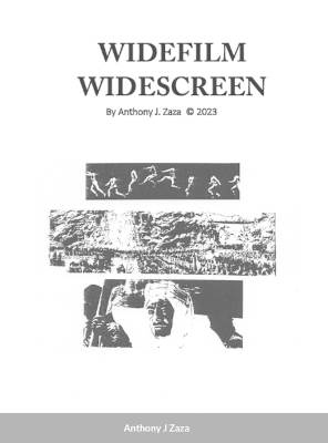 Book cover for Widefilm Widescreen