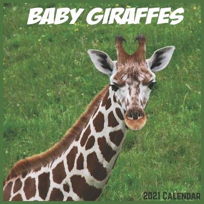 Book cover for Baby Giraffes Calendar 2021
