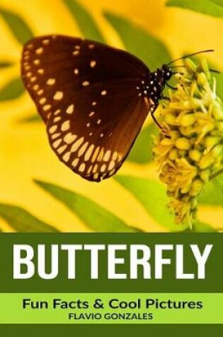 Cover of Butterfly