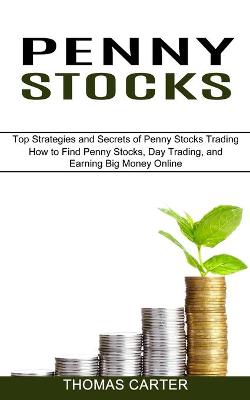 Book cover for Penny Stocks