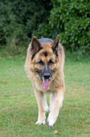 Cover of German Shepherd on Patrol (for the Love of Dogs)