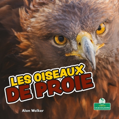 Book cover for Les Oiseaux de Proie (Birds of Prey)