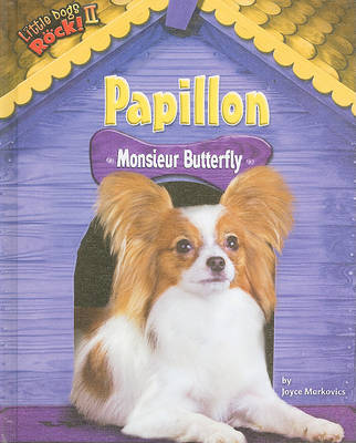 Book cover for Papillon