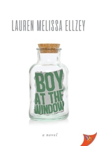 Cover of Boy at the Window