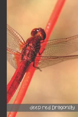 Book cover for Deep Red Dragonfly