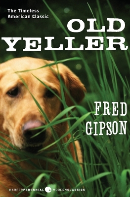 Book cover for Old Yeller