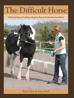 Book cover for The Difficult Horse