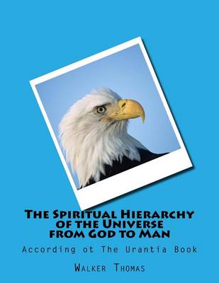 Book cover for The Spiritual Hierarchy of the Universe from God to Man