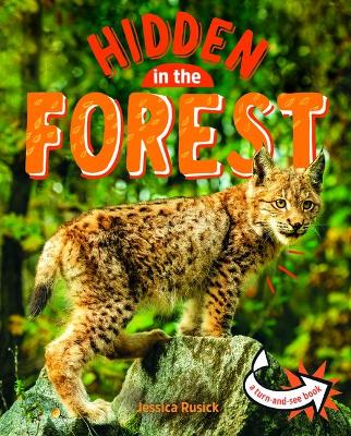 Book cover for Hidden in the Forest