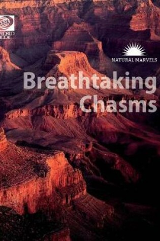 Cover of Breathtaking Chasms