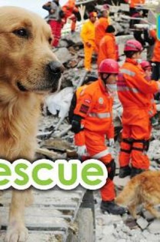 Cover of Rescue