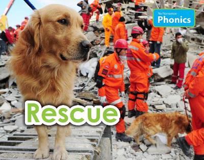 Book cover for Rescue